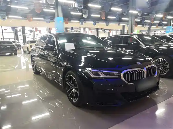 BMW 5 Series New Energy 2022