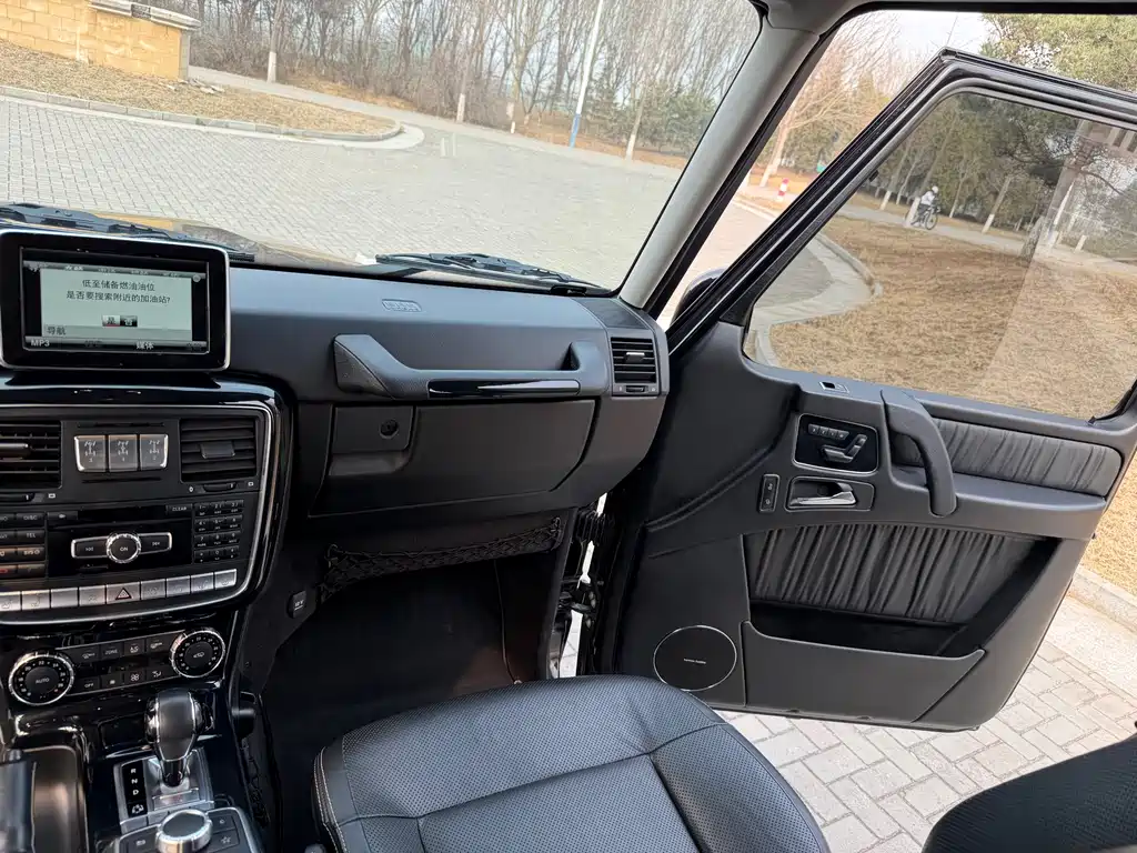 Mercedes-Benz G-Class 2016 — фото 20