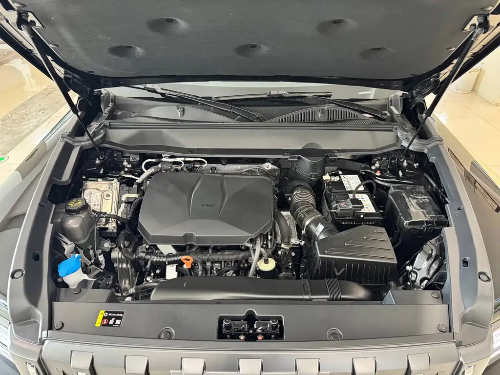 Haval Raptors Fuel 2025 — фото 15