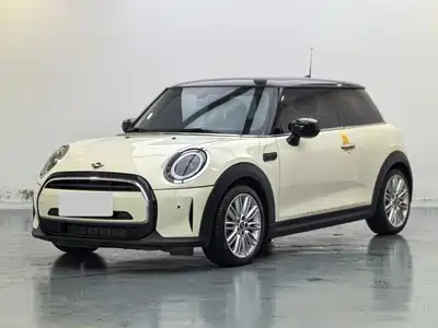 MINI MINI 2021