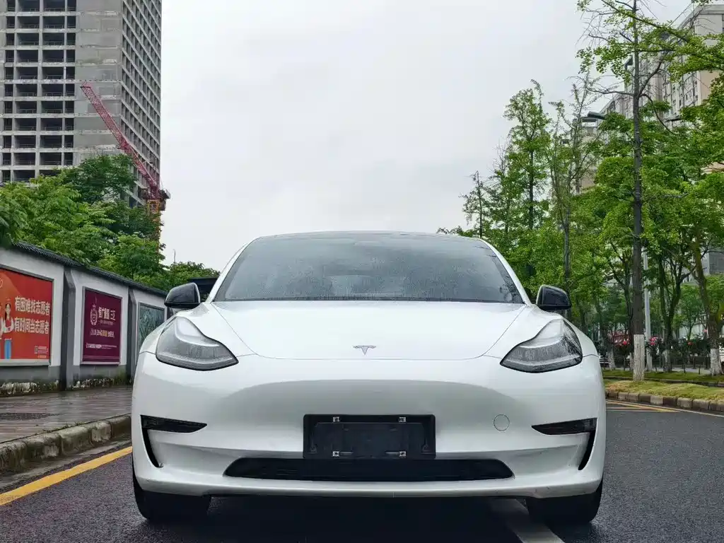 Tesla Model 3 2020 — фото 2