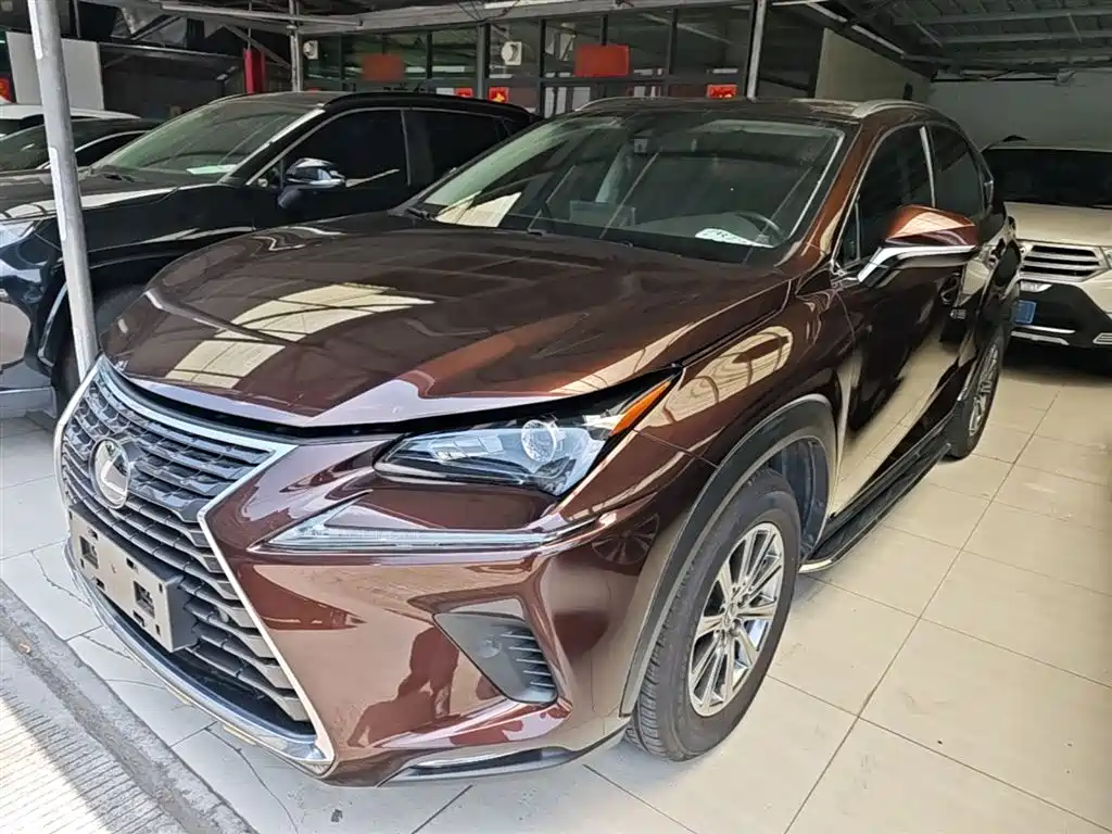 Lexus NX 2019 — фото 1