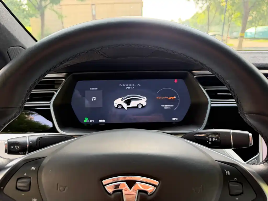 Tesla Model X 2017 — фото 18