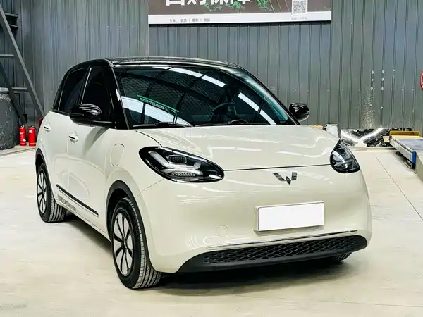 Wuling Bingo 2024