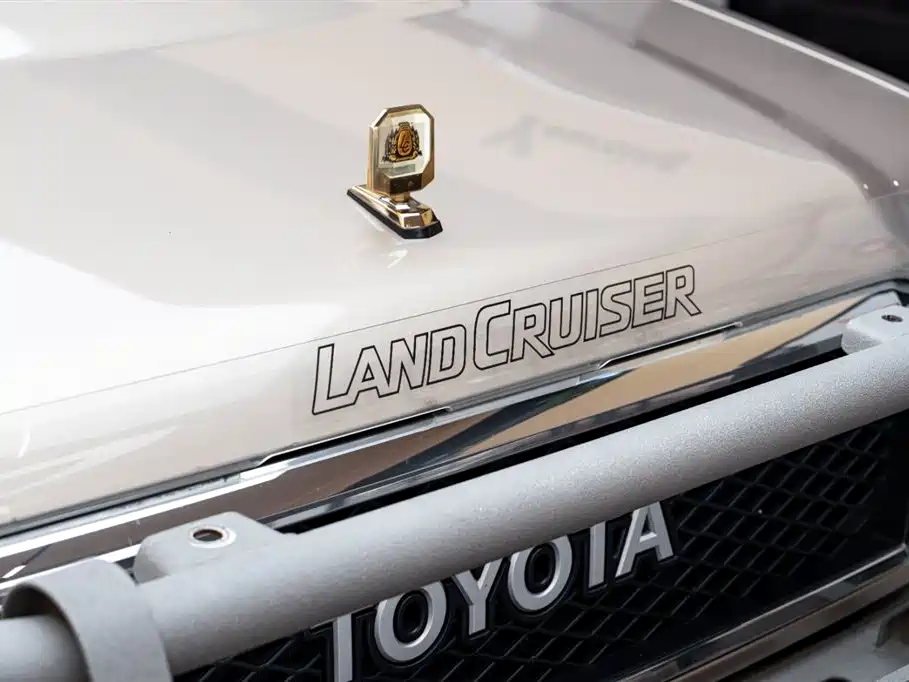 Toyota Land Cruiser 2020 — фото 24