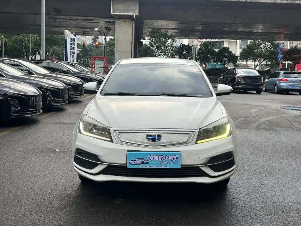 Geely New Energy 2018
