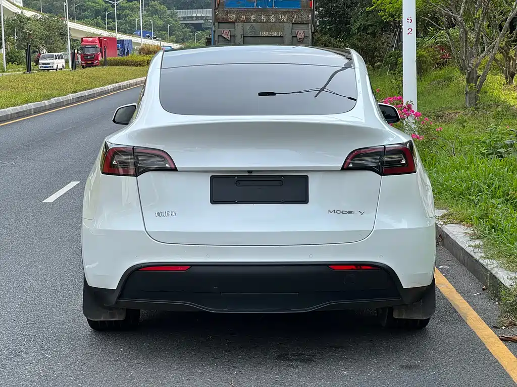 Tesla Model Y 2021 — фото 6