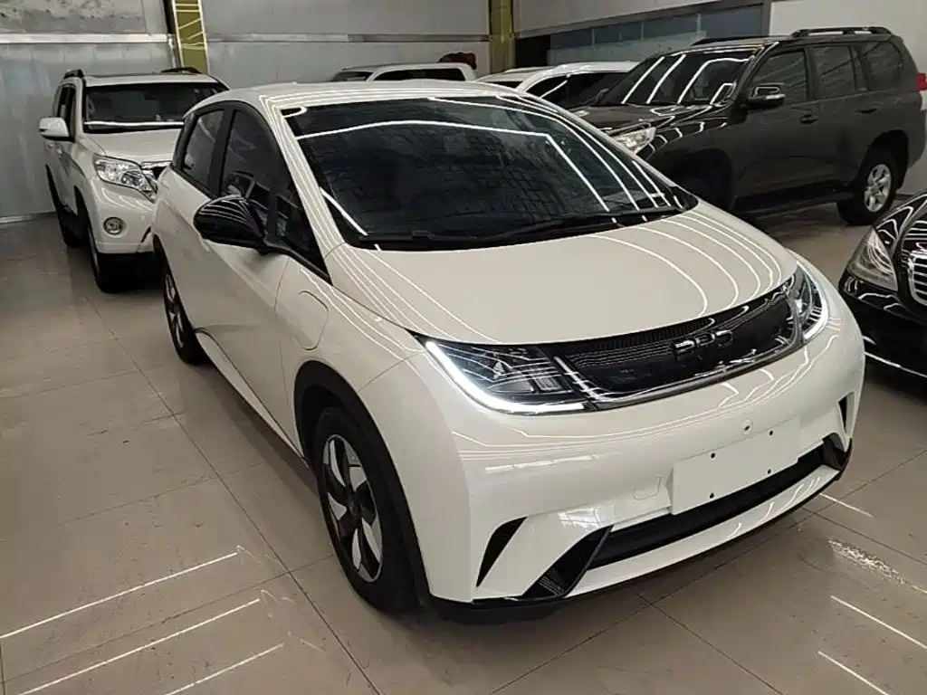 BYD Dolphin 2024