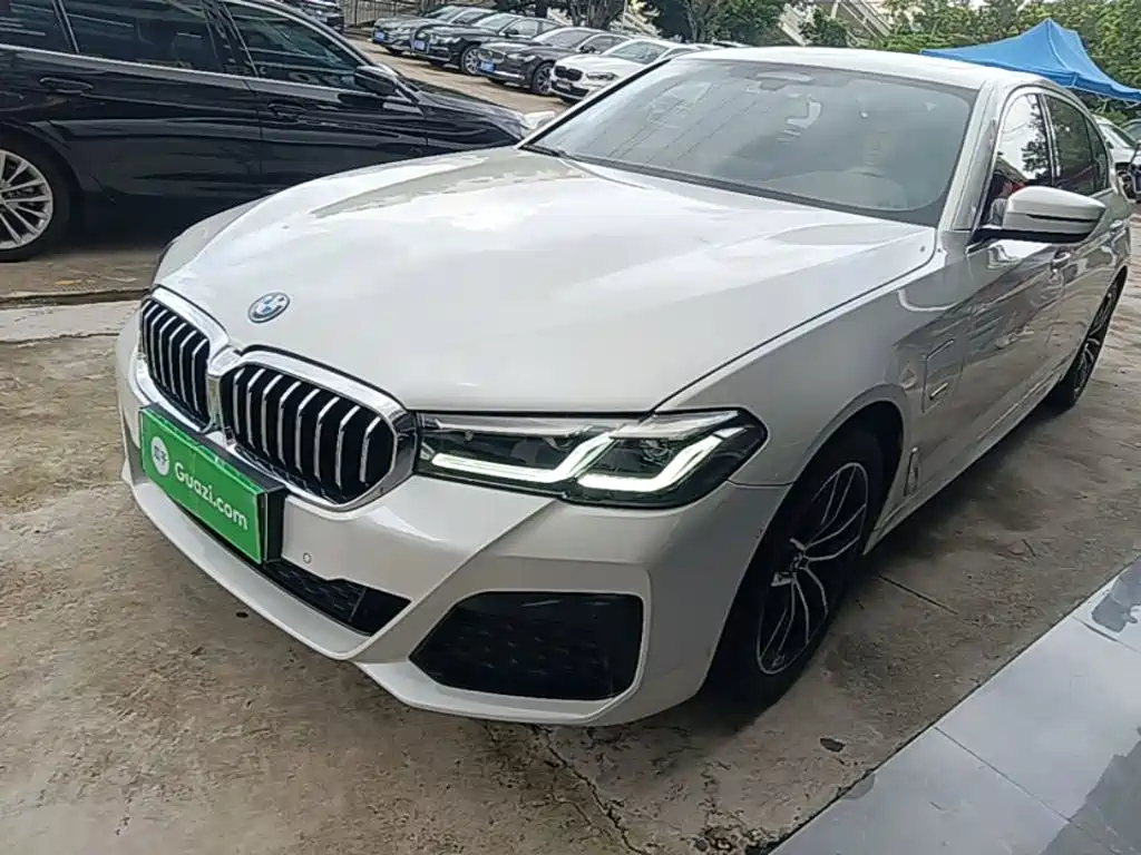 BMW 5 Series New Energy 2022
