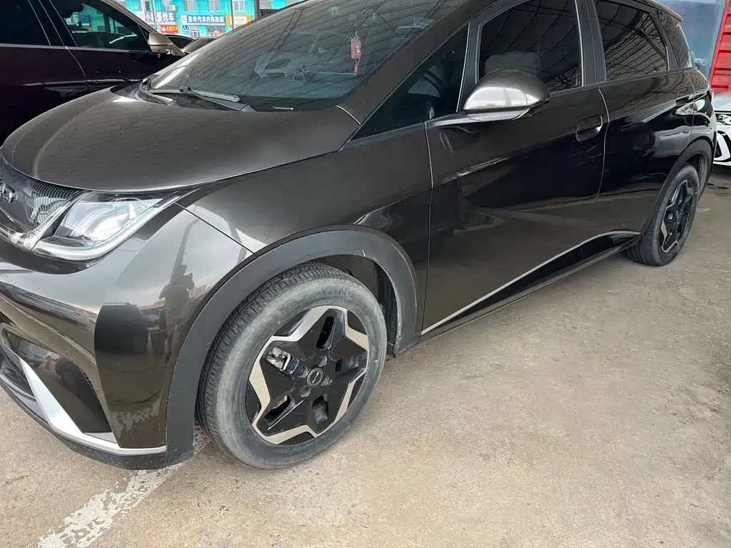 BYD Dolphin 2022