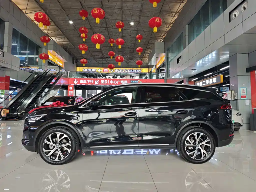 BYD Tang New Energy 2025 — фото 20
