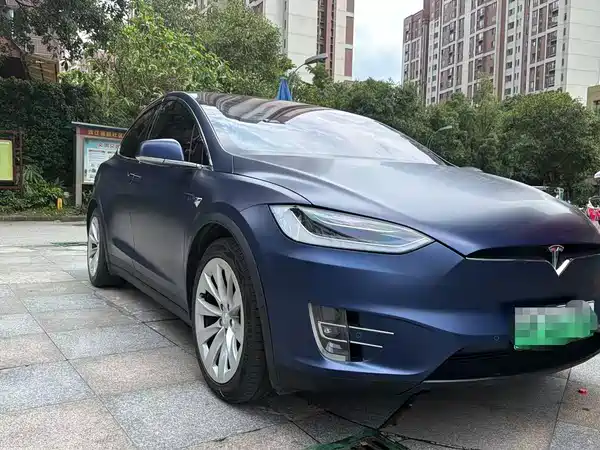 Tesla Model X 2019