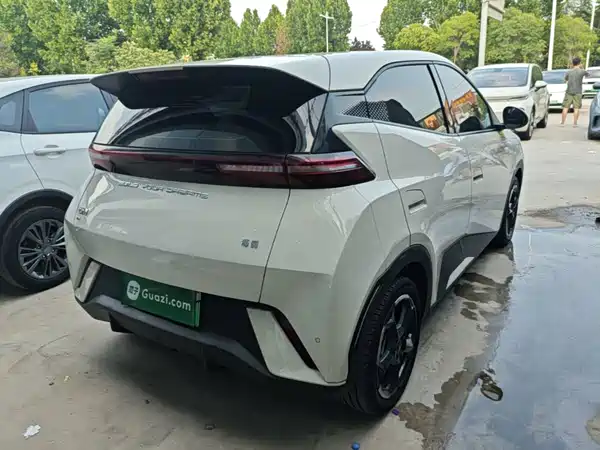 BYD Seagull 2024