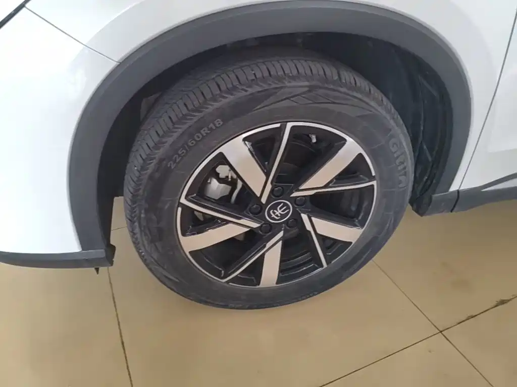 BYD Song Pro New Energy 2024 — фото 23
