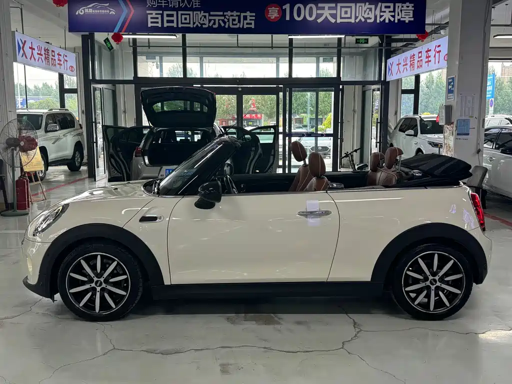 MINI MINI 2019