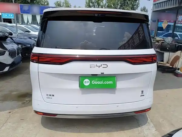 BYD Summer 2025