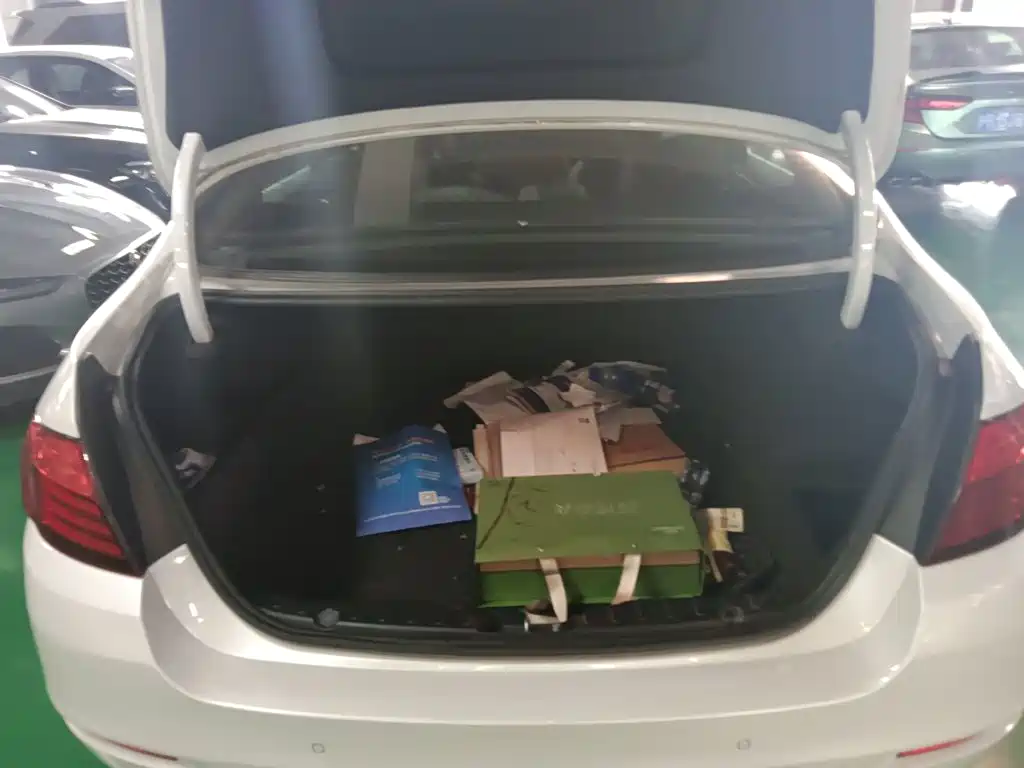 BMW 5 Series 2015 — фото 10