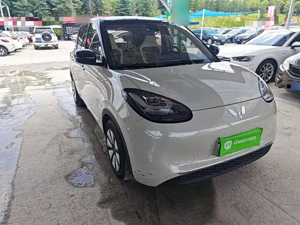 Wuling Bingo 2024