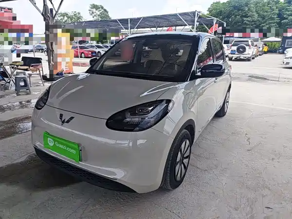 Wuling Bingo 2024