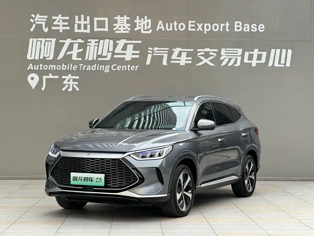 BYD Song PLUS New Energy 2022 — фото 1