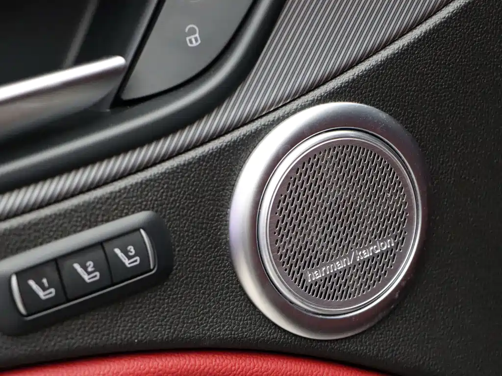 Alfa Romeo Stelvio 2020 — фото 19