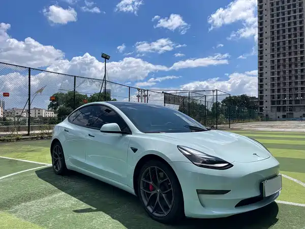 Tesla Model 3 2022