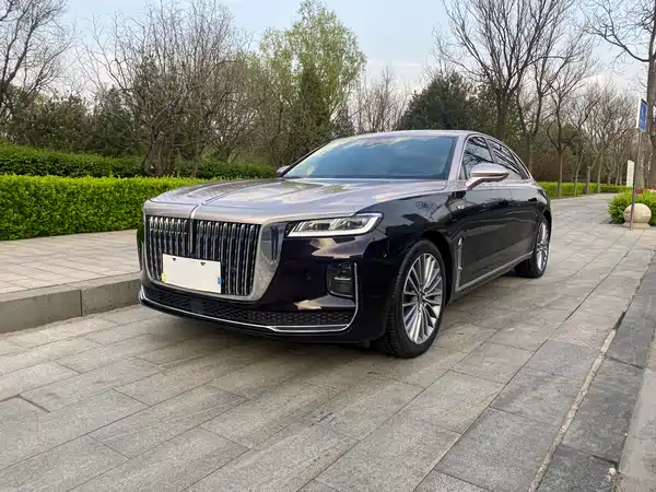 Hongqi H9 2020