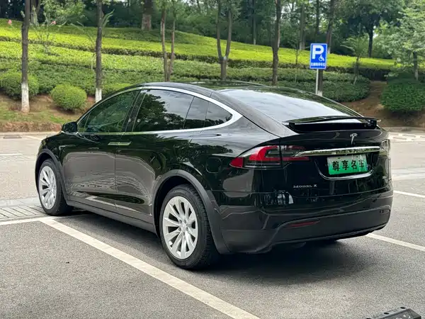 Tesla Model X 2019
