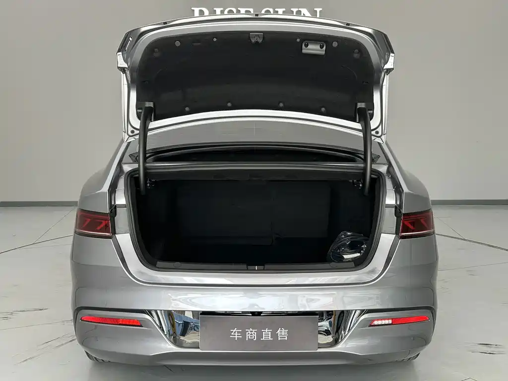 BYD Qin PLUS 2024 — фото 9
