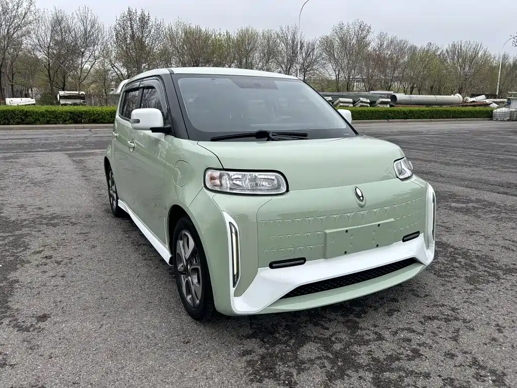 Ora White Cat 2022