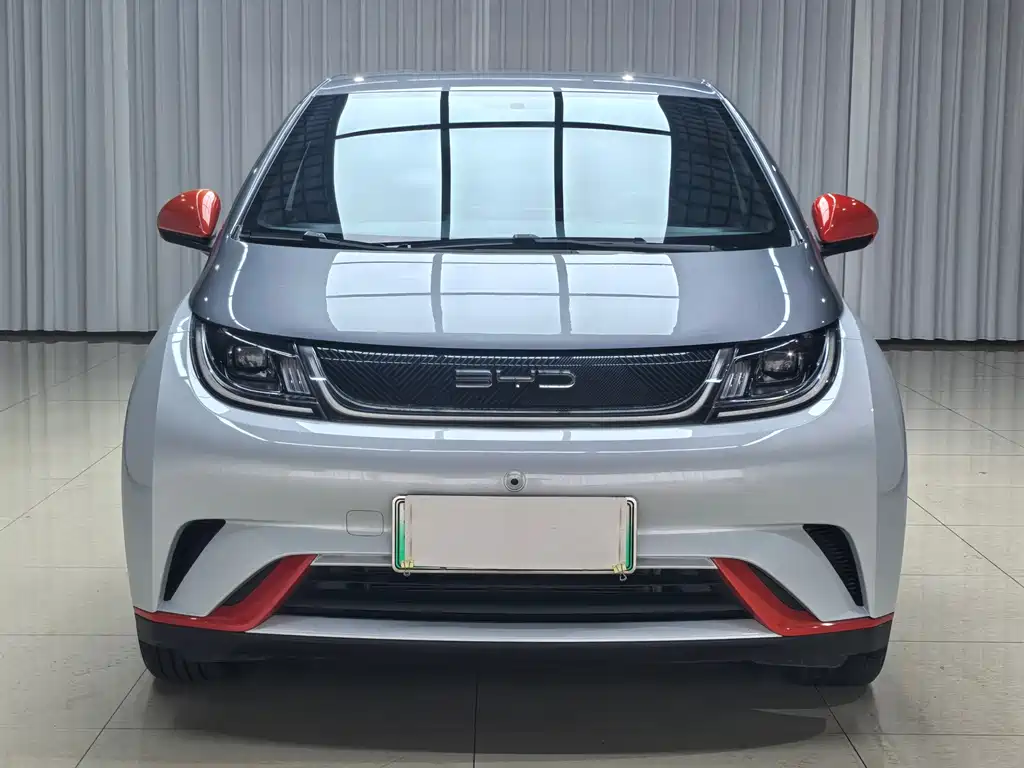 BYD Dolphin 2022