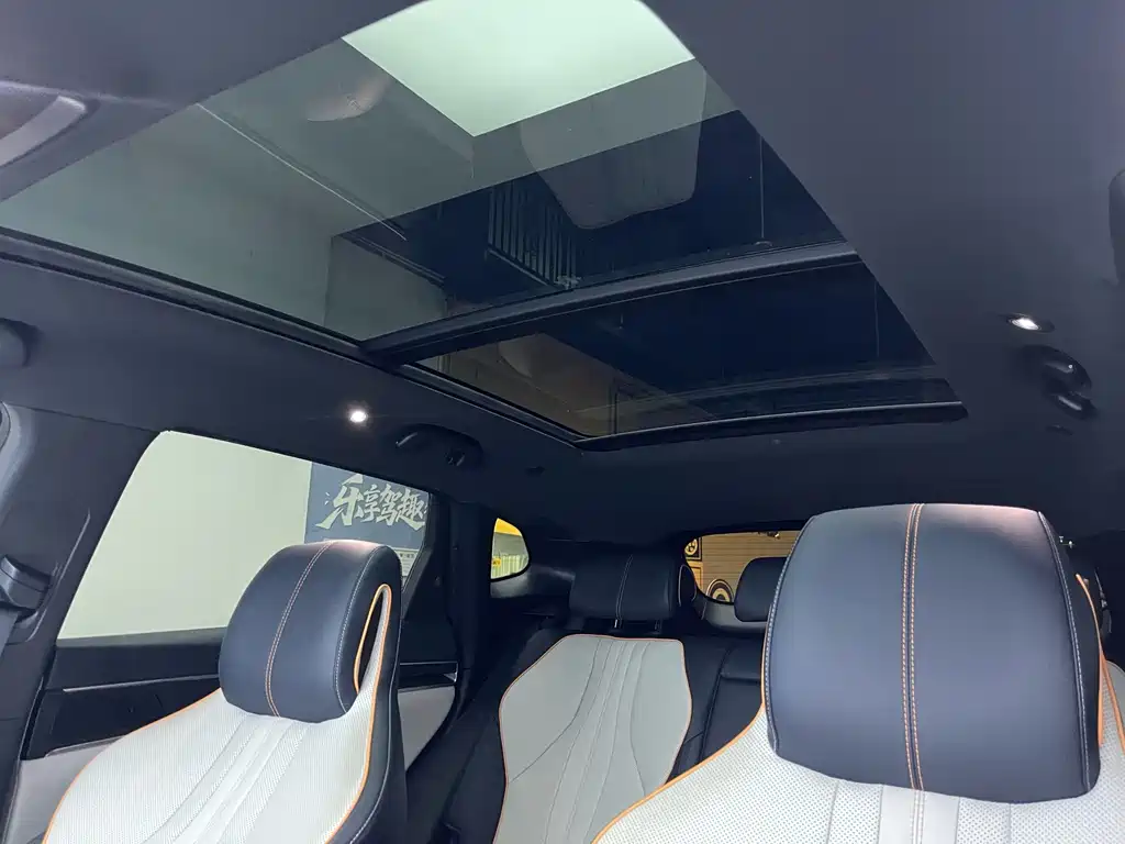 BYD PLUS New Energy 2023 — фото 16
