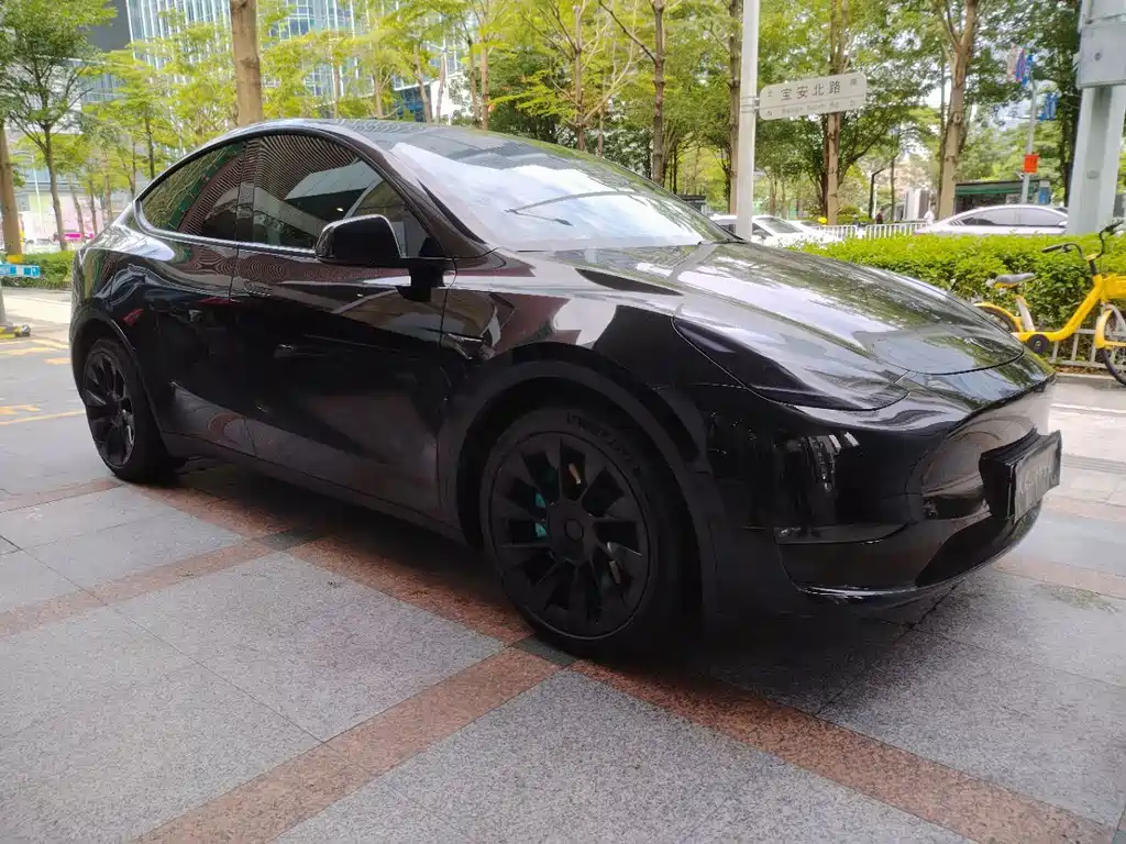 Tesla Model Y 2021 — фото 6