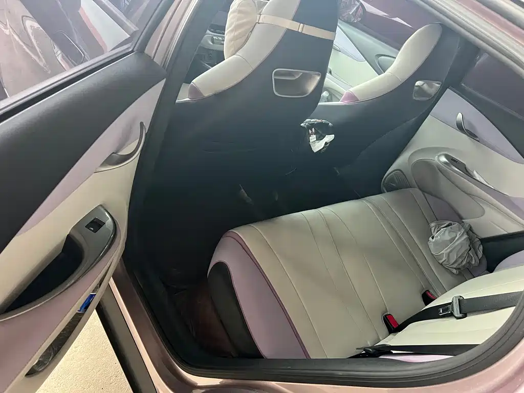 BYD Dolphin 2022
