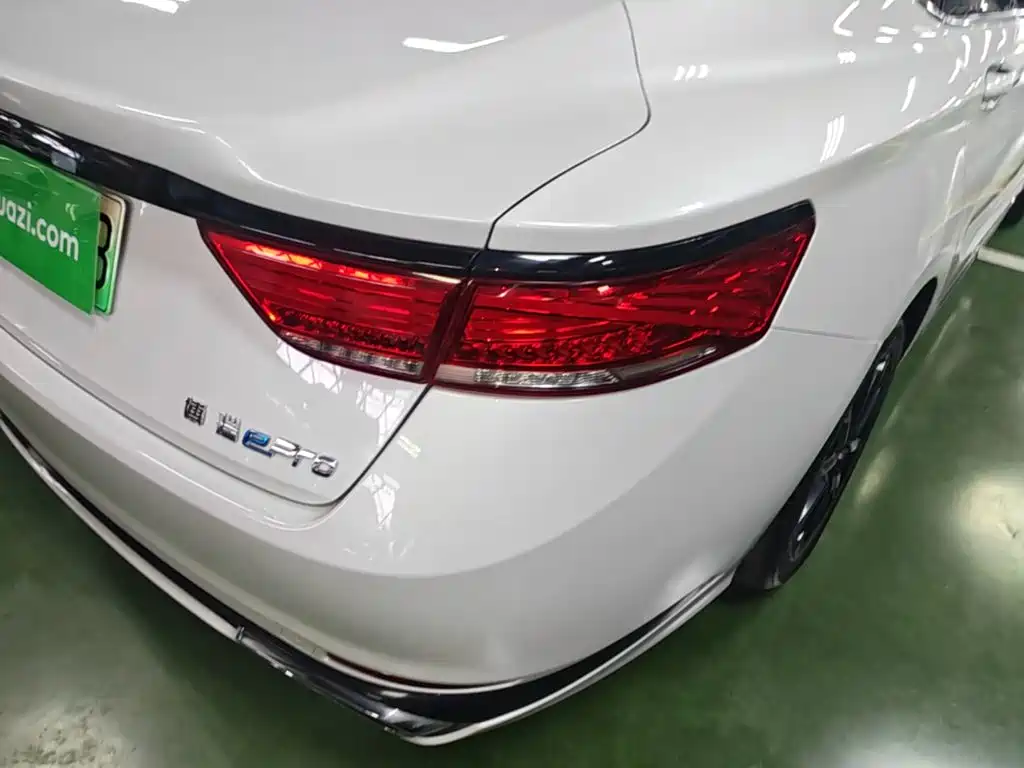 Geely Borui Hybrid 2021 — фото 8