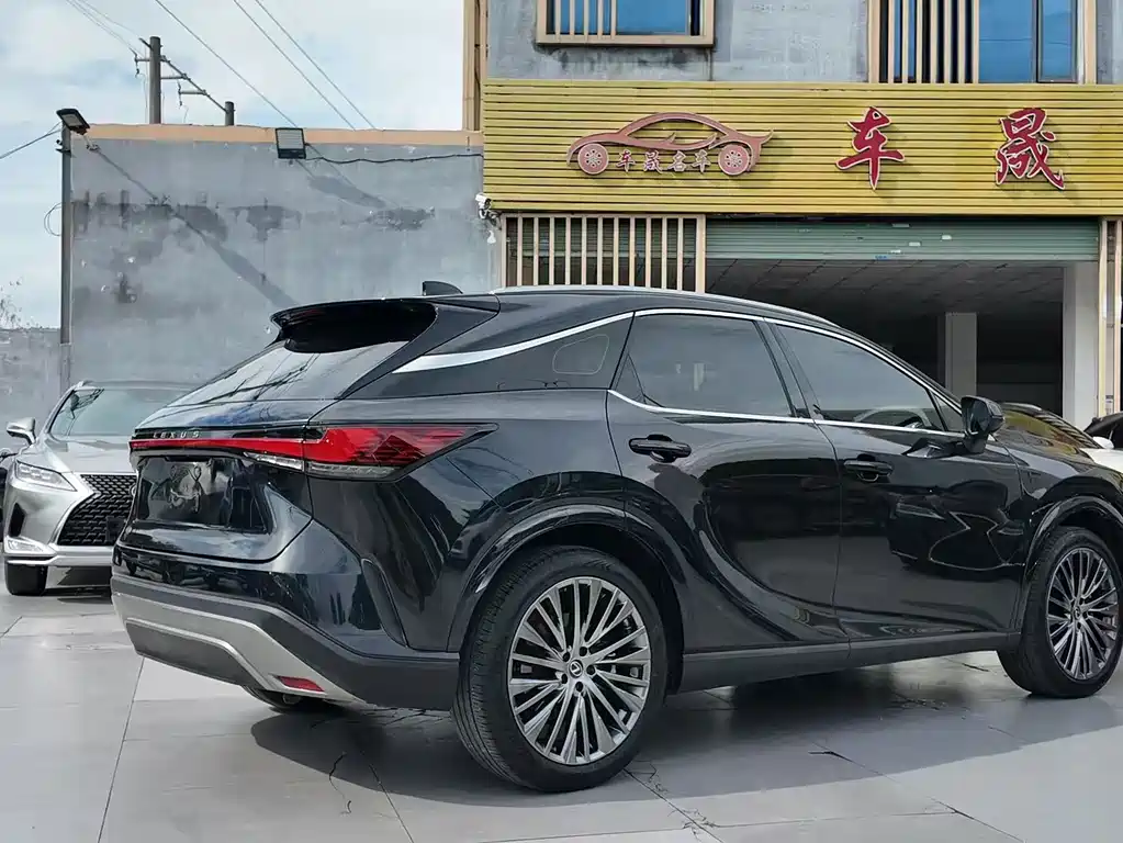 Lexus RX 2024 — фото 10