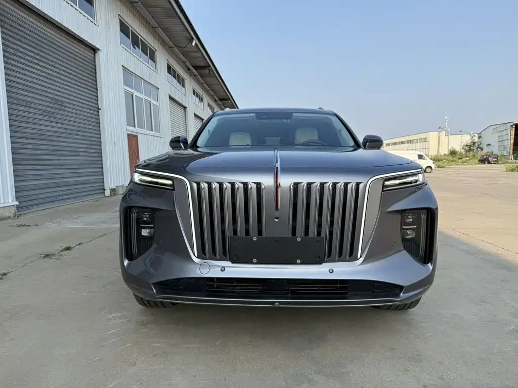 Hongqi E-HS9 2021