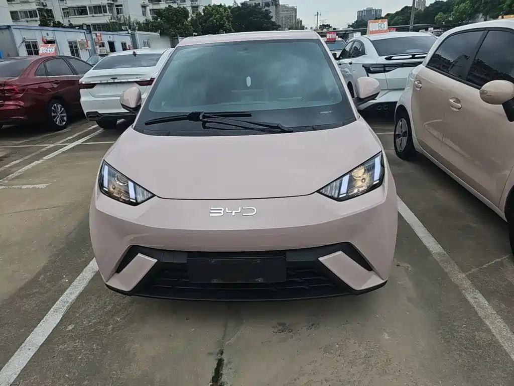 BYD Seagull 2024