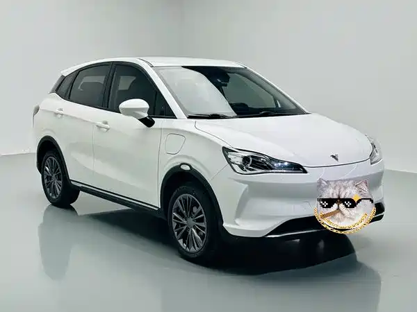 Neta V 2022