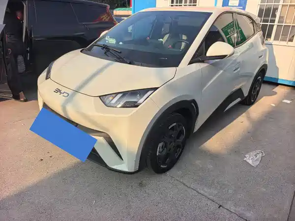 BYD Seagull 2024