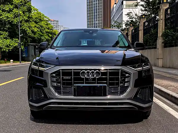 Audi Q8 2019