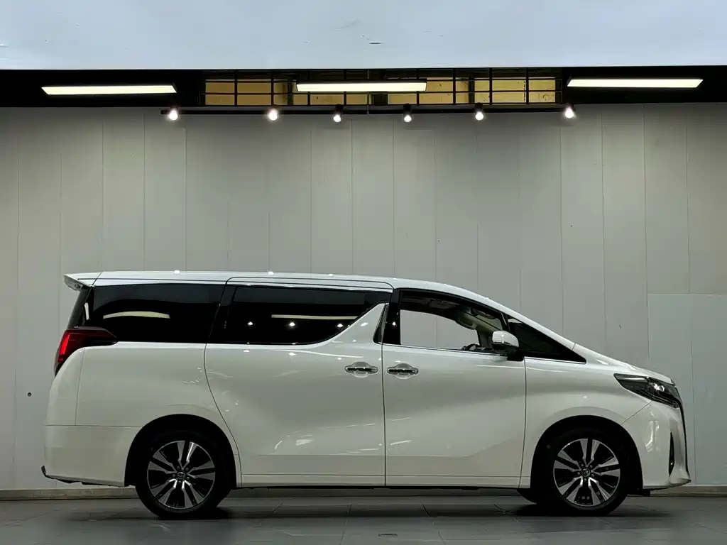 Toyota Alphard 2019 — фото 13