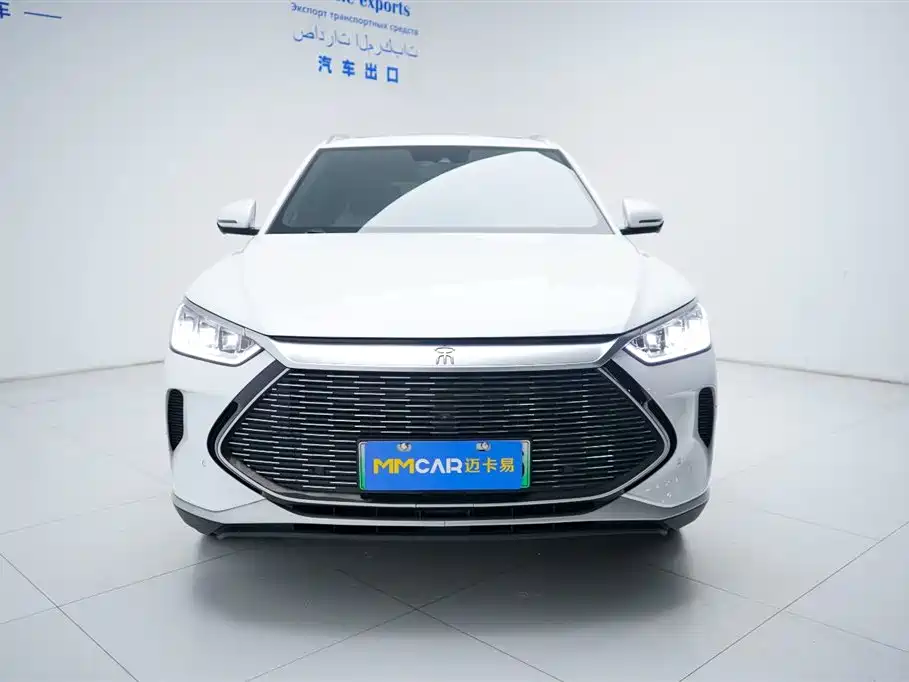 BYD PLUS New Energy 2023 — фото 8