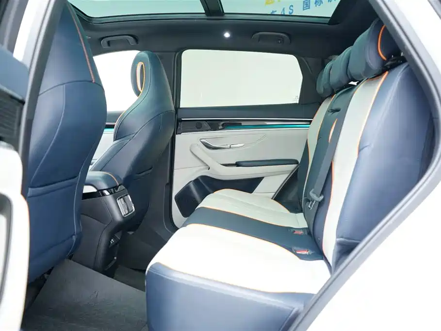 BYD PLUS New Energy 2023 — фото 18
