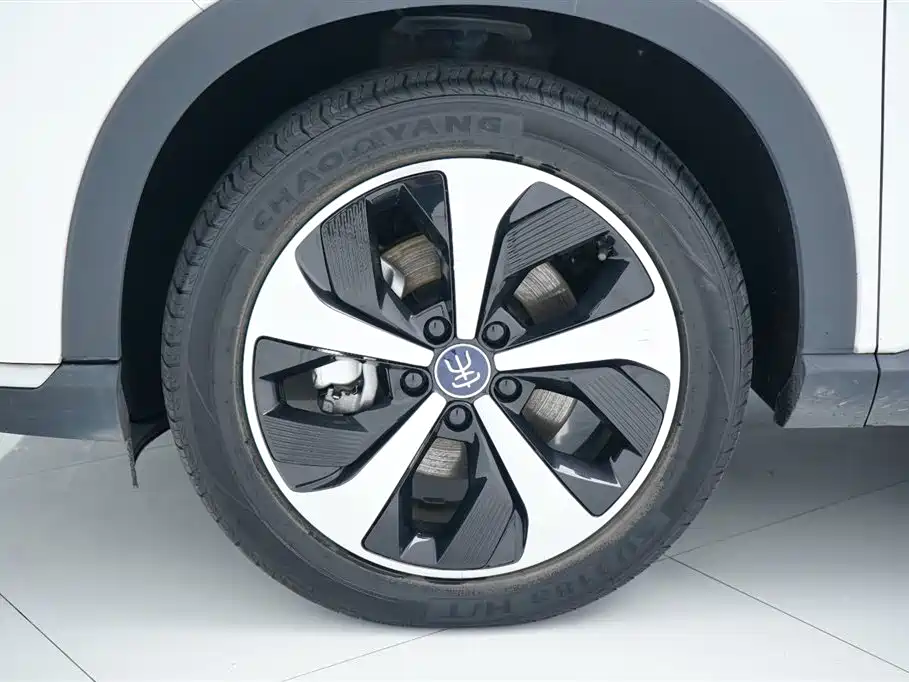 BYD PLUS New Energy 2023 — фото 15