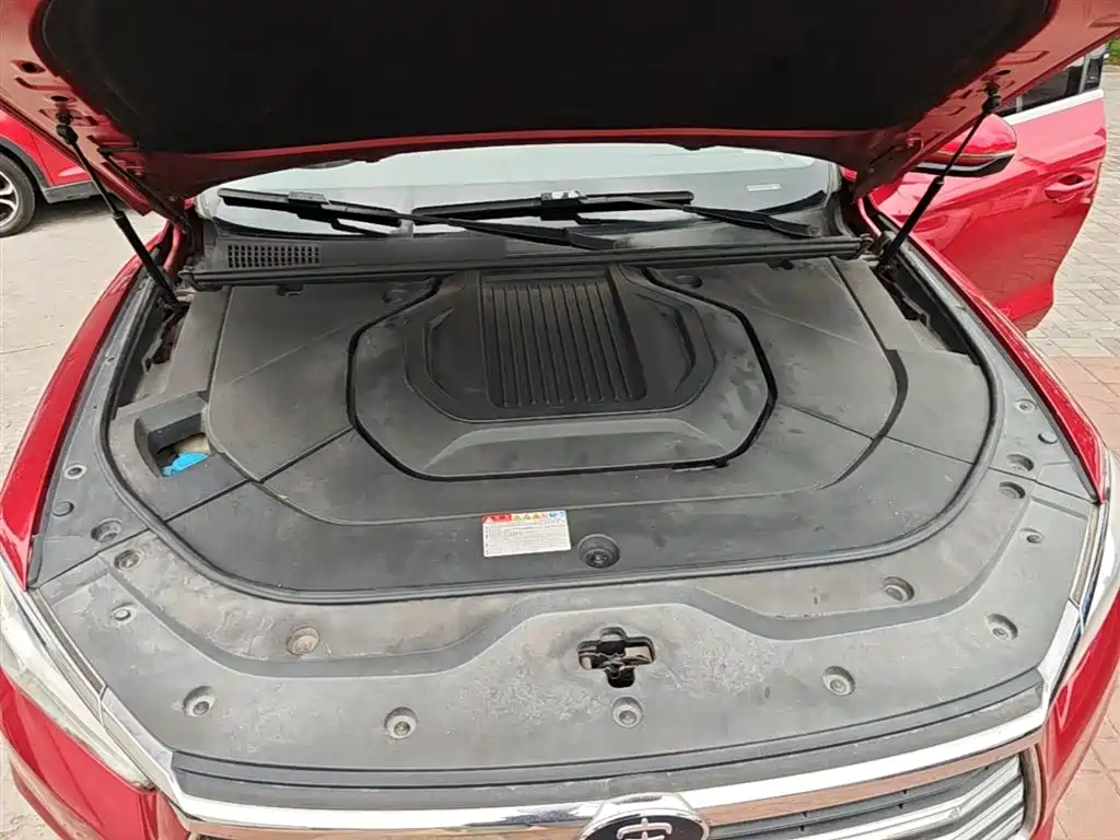BYD Pro New Energy 2019 — фото 20