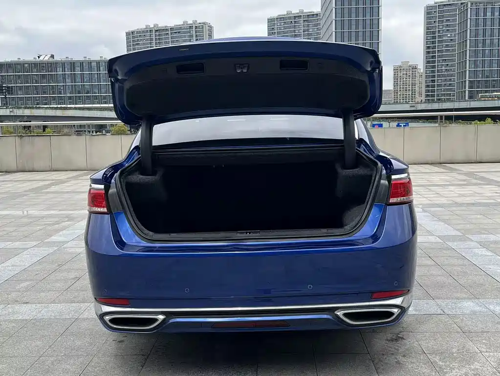 Geely Borui Hybrid 2021 — фото 15