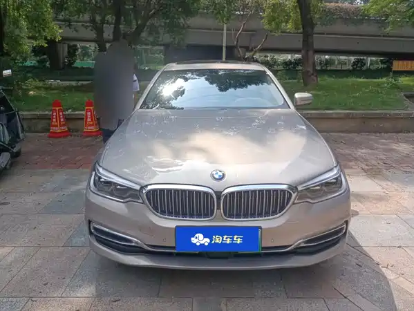 BMW 5 Series New Energy 2020