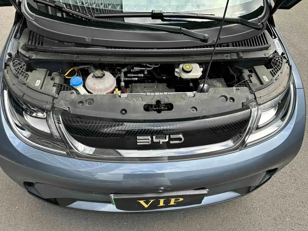 BYD Dolphin 2026