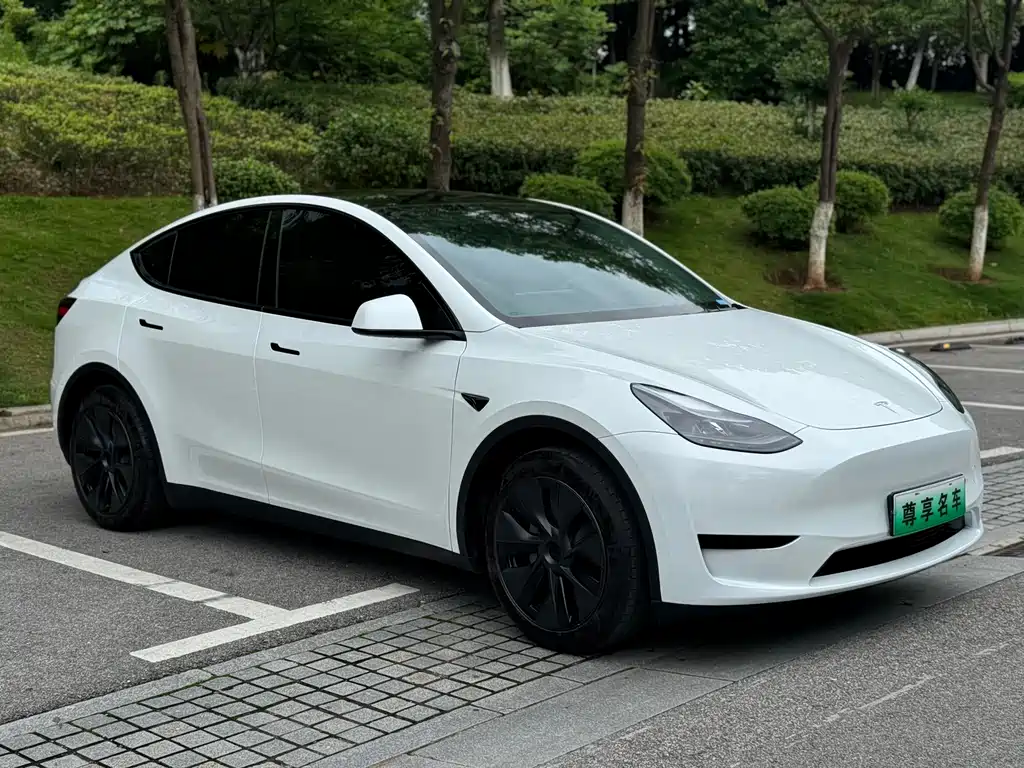 Tesla Model Y 2024 — фото 4